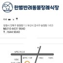 서부산IC(명지) 이미지