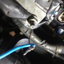 이포카센타 이미지