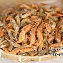 거북선건어물