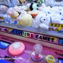 보라카이 오락실 이미지