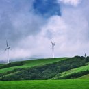 소떼목장 이미지