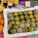 자유로 122 이미지