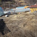 덕산면043 Daum카페