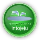 다시찾는여행사 이미지