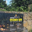 화도진로106번길 24 | 엄마랑 1박 2일 제주 여행 2편 (산양큰엉곶, 제주유리바닥보트, 중문회어시장)