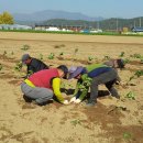 구미농장 이미지