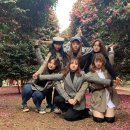 위미동백군락 이미지