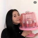 쌍수성형외과 발품후기(신사,압구정) 1탄