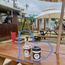 콩이네 민박 | 양양 애견동반 숙소 '콩이네민박' 서핑강습 내돈내산 후기