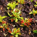 은애농장 이미지