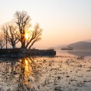 두물머리 이미지