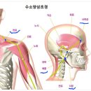 진정한 얼굴 경락 마사지테라피를 하고 계신가요?