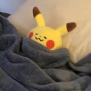 세인트컴퍼니 이미지