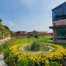 꽃피는 유포리 이미지