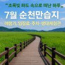 남도삼백리길(11코스) | 7월 순천만습지 여행기, 입장료·주차·생태체험관·자전거 코스까지 완벽 정리