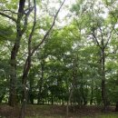 적원일기 이미지