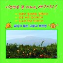 효돈동주민센터 이미지