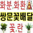 화원삼성안과의원 네이버블로그