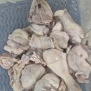 [내돈내산] 엽땡식 분말소스로 엽닭 만들어본 후기 | 4단계 맵기, 닭볶음탕 레시피