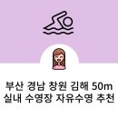 부산광역시체육시설관리사업소 | 부산 경남 창원 김해 50m 실내 수영장 자유수영 추천