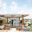 분도와안나개미꽃동산 이미지