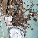 학돌초등학교 이미지