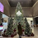 킹스푸드 | 킹스 베케이션 씨푸드 해피아워 해산물 주류 무제한 내돈내산 솔직후기