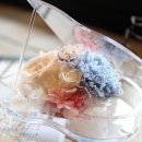 더봄 이미지
