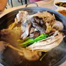 강나루민박 | 애견동반 홍천 맛집 강나루황토집, 팔봉산·비발디파크 근처 반려견 동반 식당