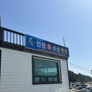 파도리인천수산