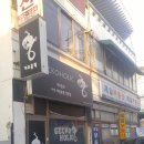 게코홀릭