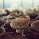 달산농장 이미지