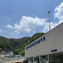 부산 운전면허 2종보통 1트합격! 타임라인 과정부터 비용까지 총정리 (필기/장내기능/도로주행/부산운전...