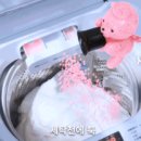 향기나세탁