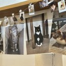 후미후미 이미지