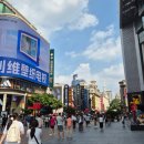 라이라이 | 상하이 인민광장 미슐랭 딤섬 맛집 라이라이샤오롱 웨이팅 후기