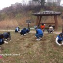 황금지어린이집 Daum카페