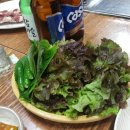 삼척오리마을 이미지