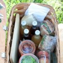 피크니크 이미지