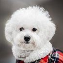 함께키우기 이미지