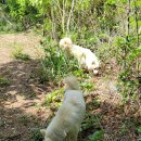 우람농장 이미지