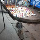 안녕 멈머야 이미지