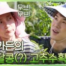 tvN 슬기로운 산촌생활 3회 이미지