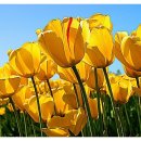 농장이야기 이미지