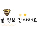 꿀아로마 이미지