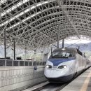 도그 애견미용실 이미지