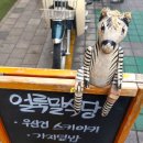 경기도 수원시 영통구 영통로 | 망포역 점심 맛집 얼룩말식당 영통점 수원데이트장소 추천