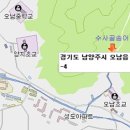 수사골송어 이미지