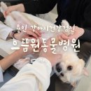 으뜸원동물병원 이미지