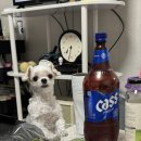 신천체육공원 | 260521